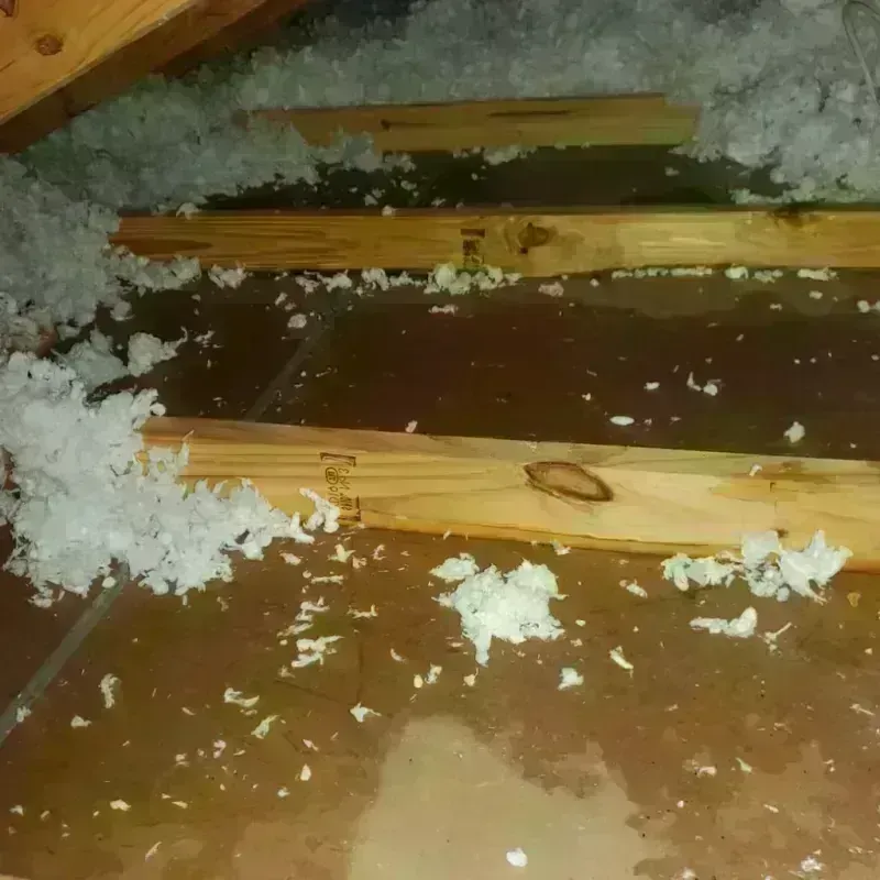 Attic Water Damage in Sabine County, TX